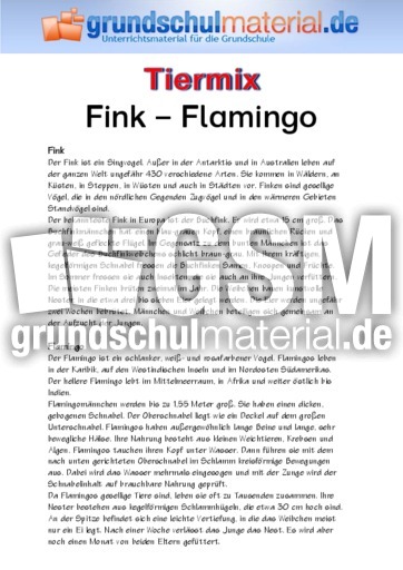 Fink - Flamingo.pdf